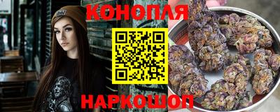 сатива Краснознаменск
