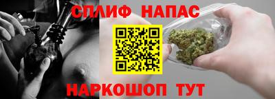 сатива Краснознаменск