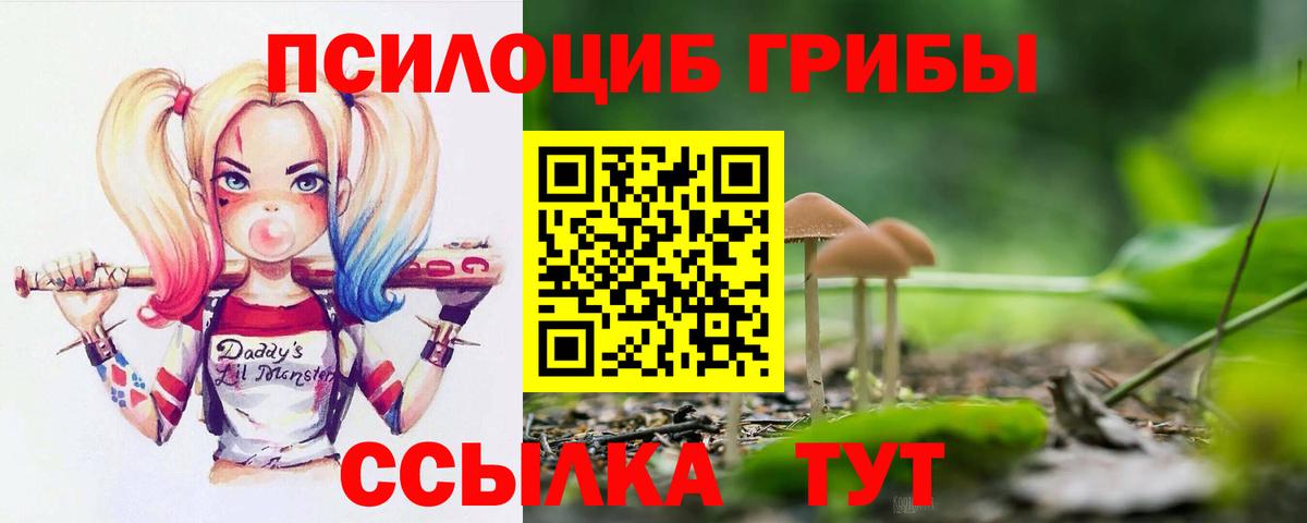 Псилоцибиновые грибы мицелий  Псилоцибиновые грибы Psilocybe  Качканар  Вход с VPN 
